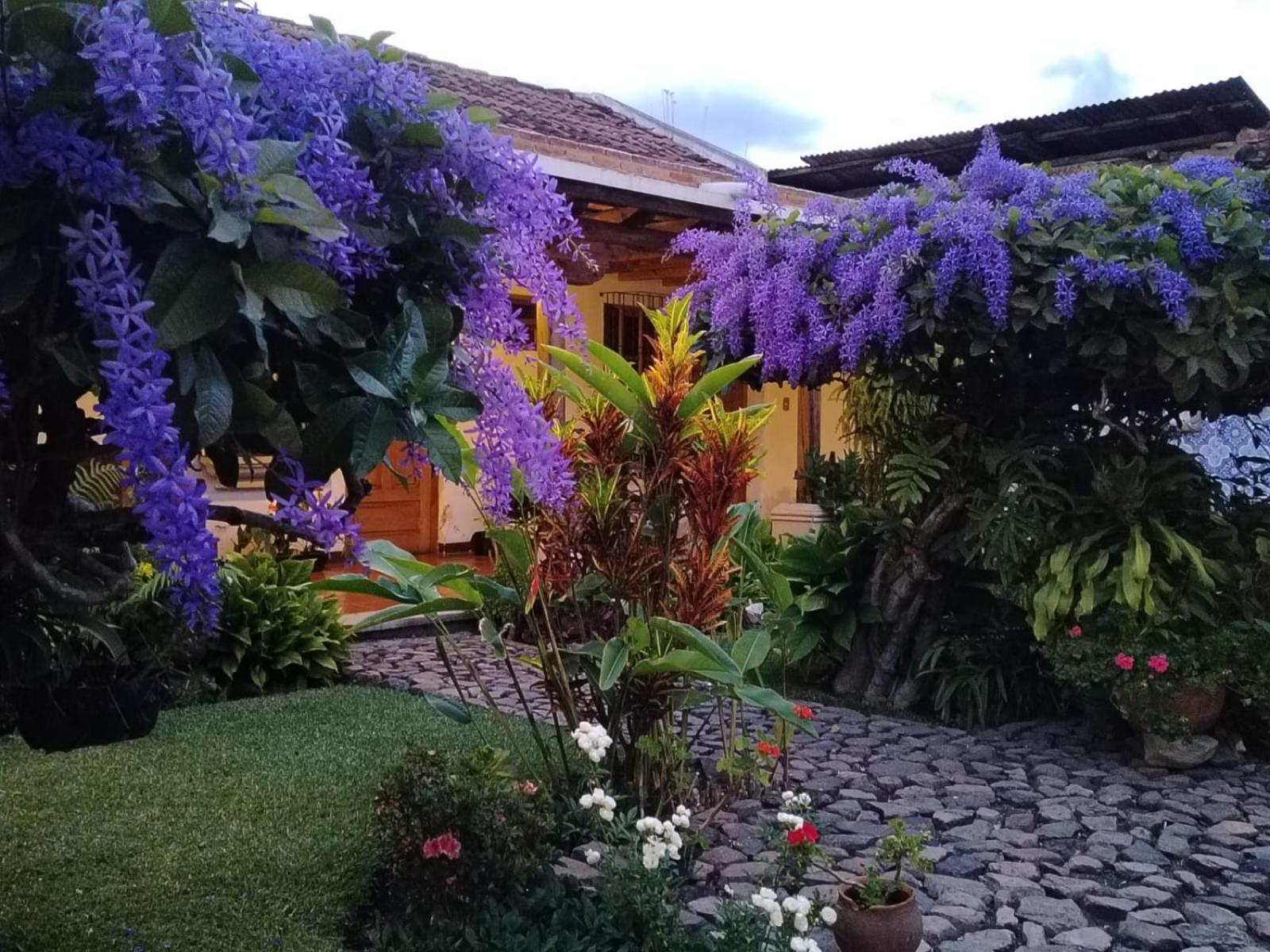 Hostal San Nicolas Antigua Exteriör bild