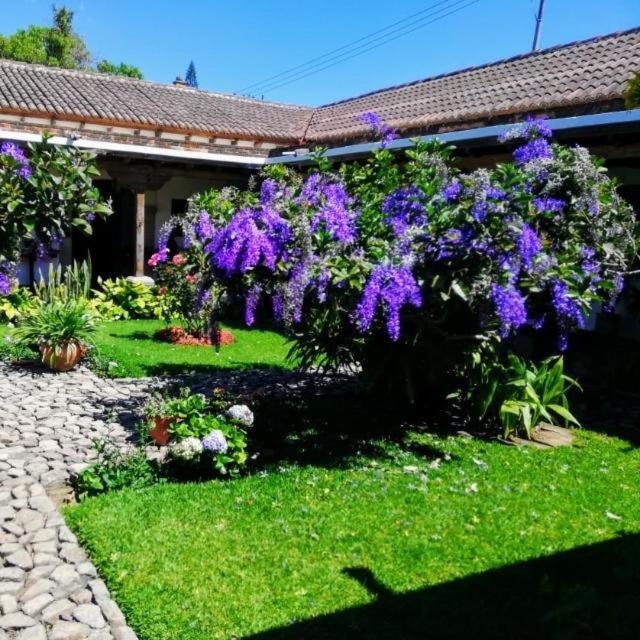 Hostal San Nicolas Antigua Exteriör bild