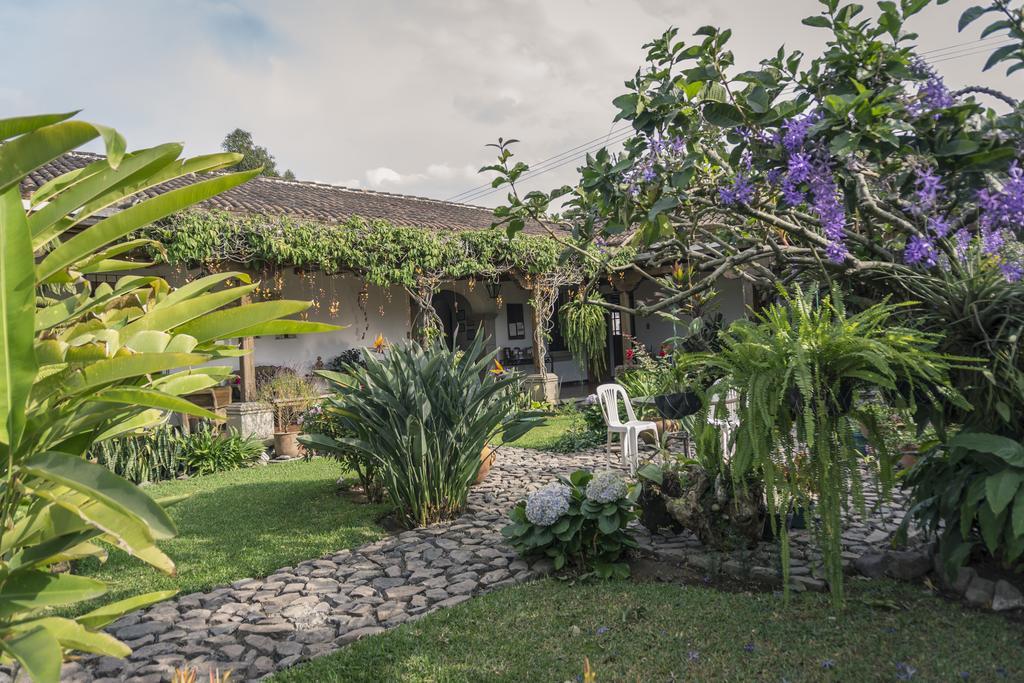 Hostal San Nicolas Antigua Exteriör bild