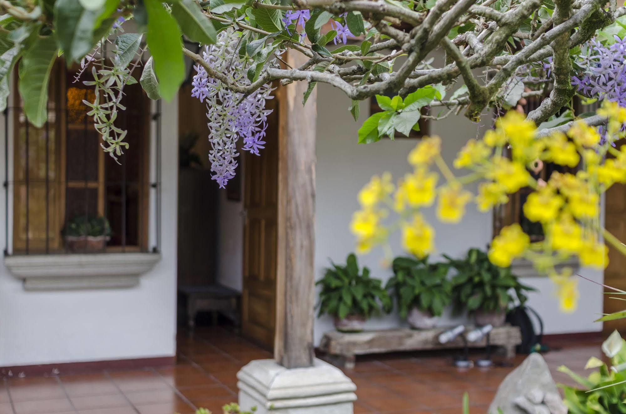 Hostal San Nicolas Antigua Exteriör bild