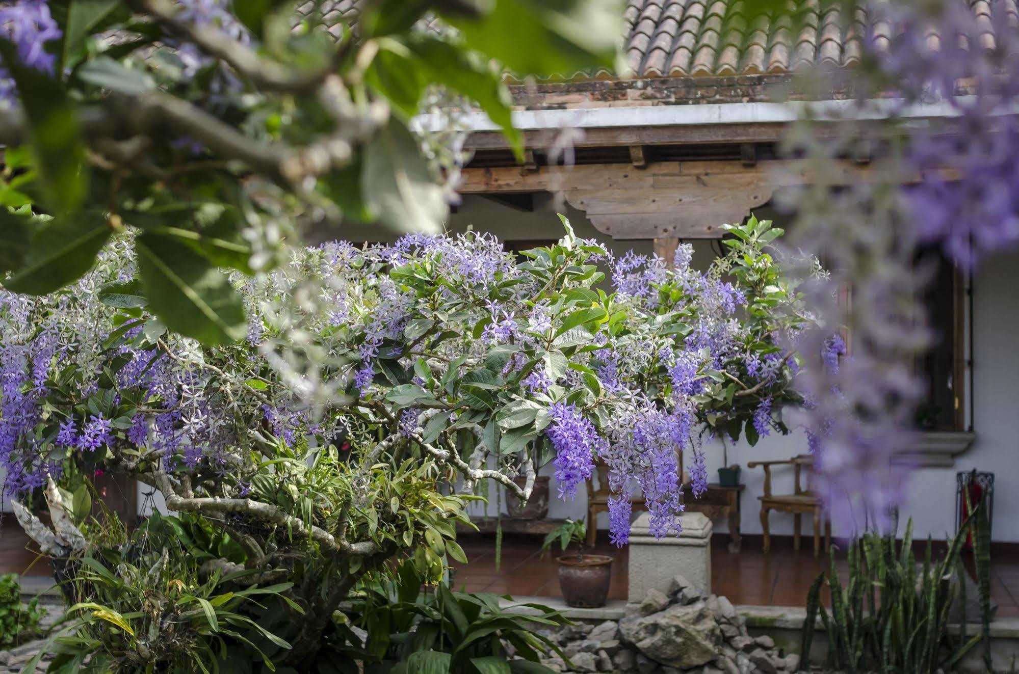 Hostal San Nicolas Antigua Exteriör bild